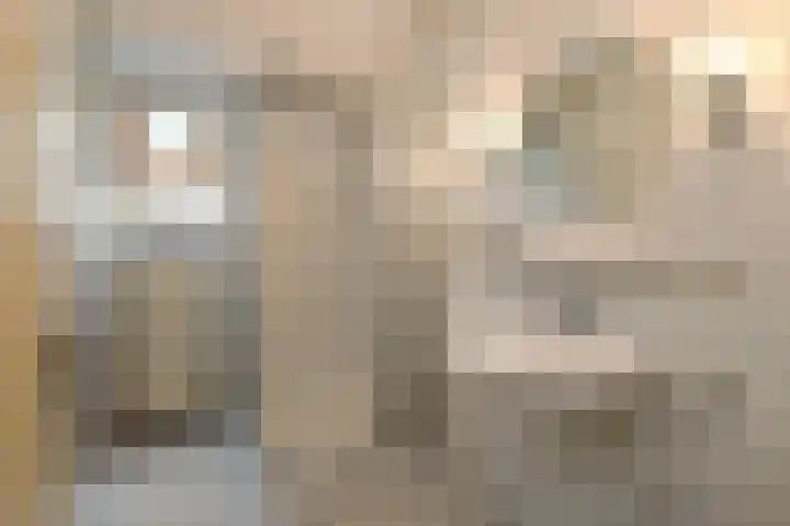 Marga Klompélaan 1 Elst thumbnail 47