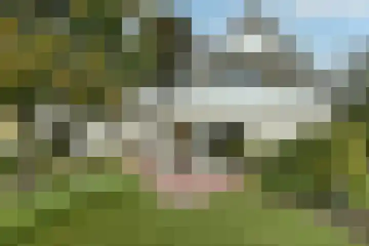 Marga Klompélaan 1 Elst thumbnail 5