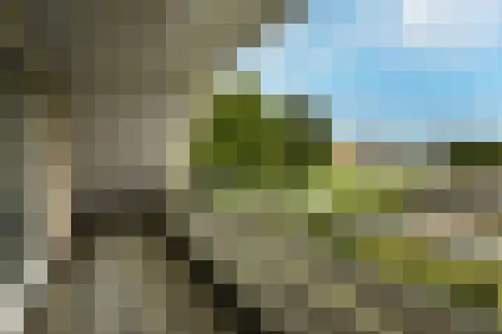 Marga Klompélaan 1 Elst thumbnail 51