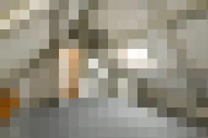 Marga Klompélaan 1 Elst thumbnail 53