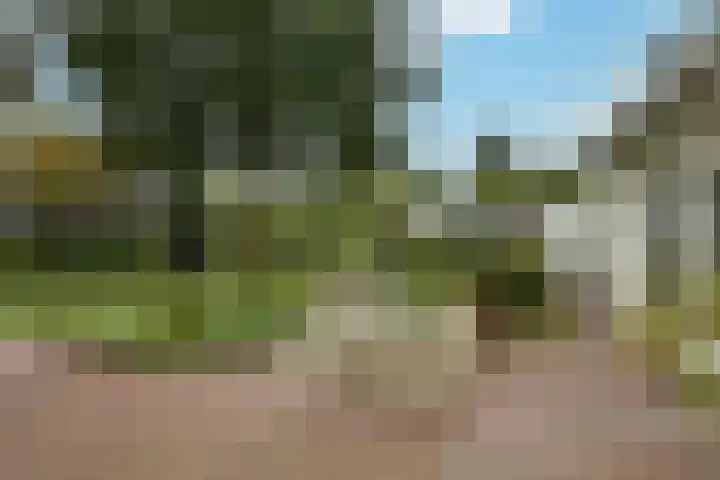 Marga Klompélaan 1 Elst thumbnail 54