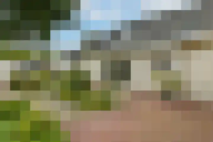 Marga Klompélaan 1 Elst thumbnail 55