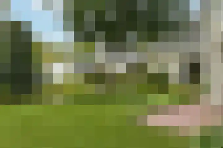 Marga Klompélaan 1 Elst thumbnail 56