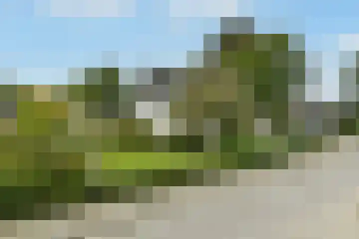 Marga Klompélaan 1 Elst thumbnail 6