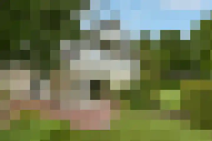 Marga Klompélaan 1 Elst thumbnail 61