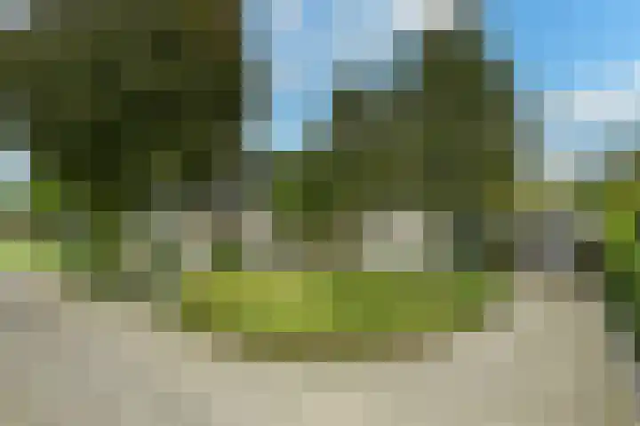 Marga Klompélaan 1 Elst thumbnail 7