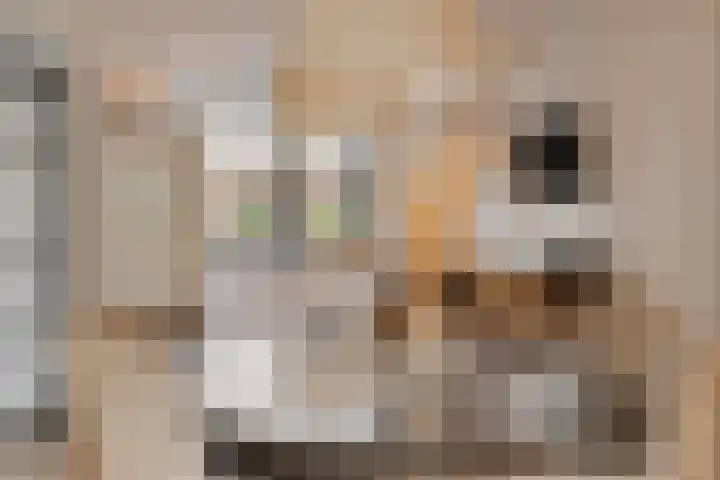 Marga Klompélaan 1 Marum thumbnail 20