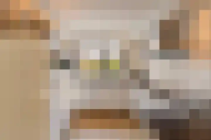 Marga Klompélaan 1 Marum thumbnail 23