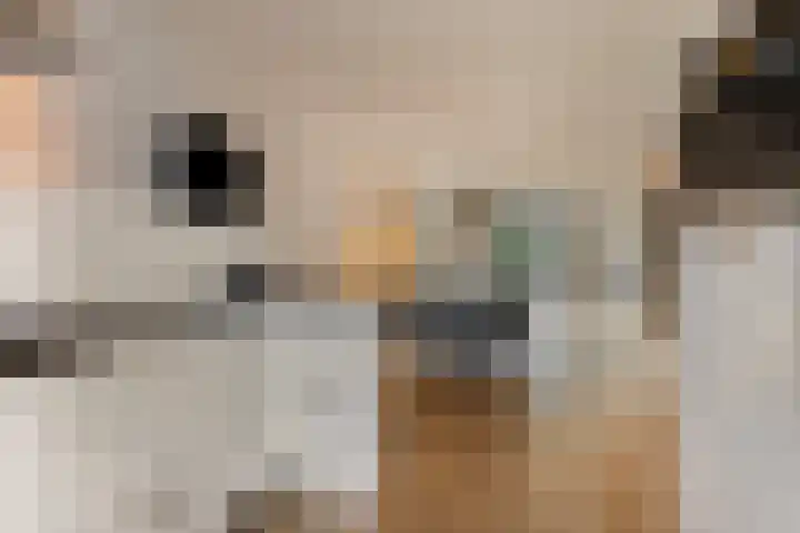 Marga Klompélaan 1 Marum thumbnail 25