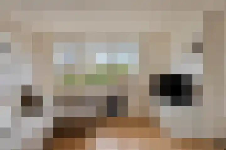 Marga Klompélaan 1 Marum thumbnail 27