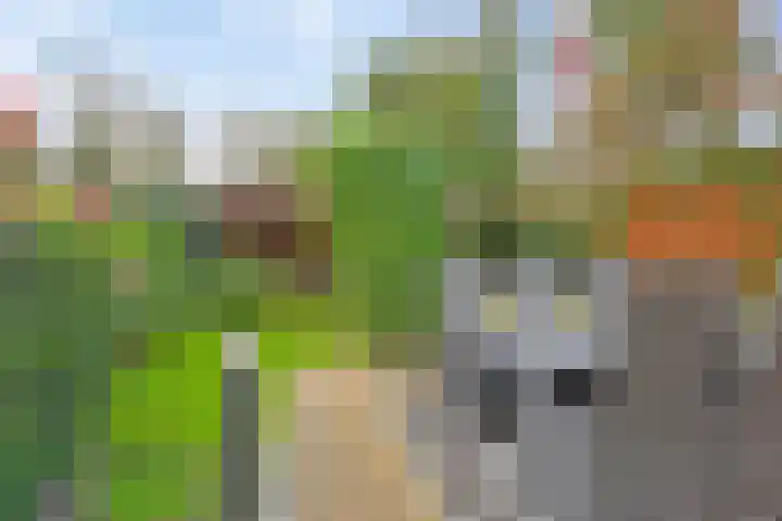 Marga Klompélaan 1 Marum thumbnail 39