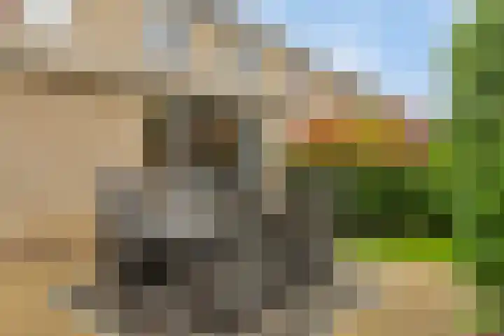 Marga Klompélaan 1 Marum thumbnail 41