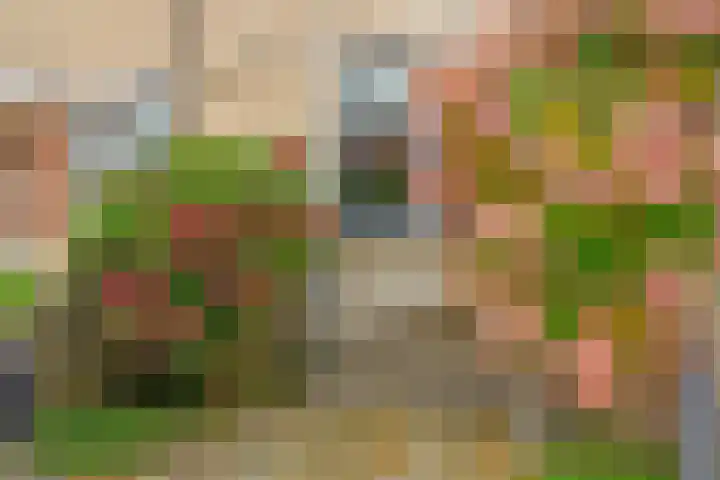 Marga Klompélaan 1 Marum thumbnail 7