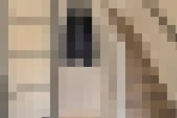 Marga Klompélaan 1 Marum thumbnail 9