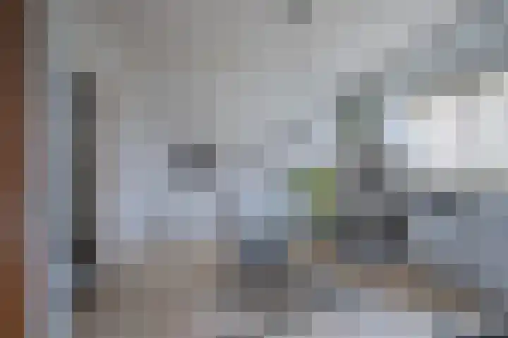 Marga Klompélaan 10 Elst thumbnail 15