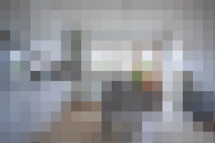 Marga Klompélaan 10 Elst thumbnail 16