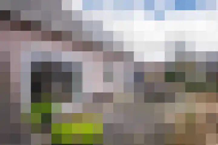Marga Klompélaan 10 Elst thumbnail 22