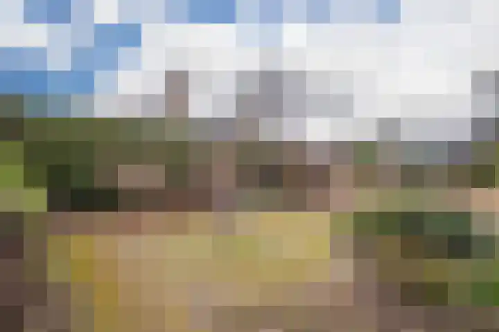 Marga Klompélaan 10 Elst thumbnail 28