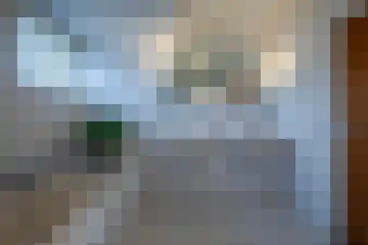 Marga Klompélaan 10 Elst thumbnail 37