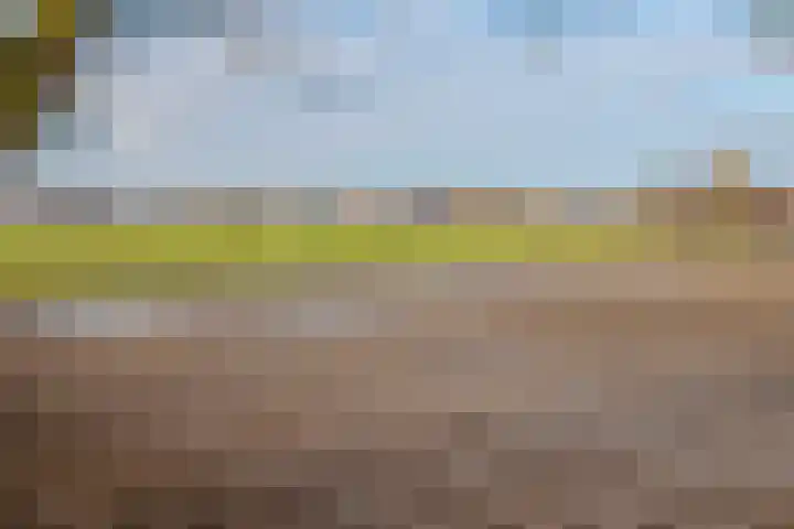 Marga Klompélaan 10 Elst thumbnail 43