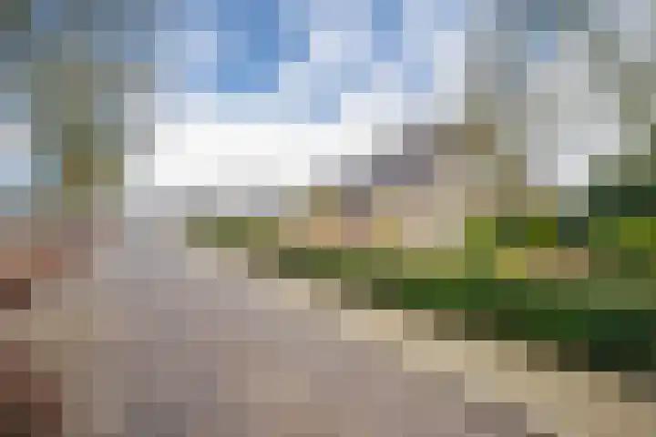 Marga Klompélaan 10 Elst thumbnail 5
