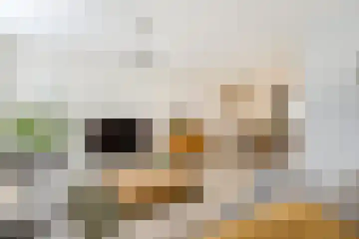 Marga Klompélaan 119 Rijen thumbnail 17