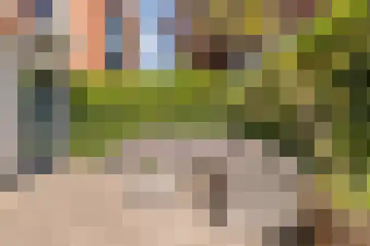 Marga Klompélaan 119 Rijen thumbnail 4