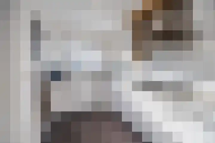 Marga Klompélaan 123 Rijen thumbnail 28