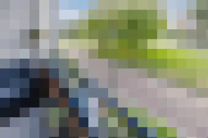 Marga Klompélaan 123 Rijen thumbnail 47