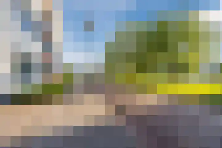 Marga Klompélaan 123 Rijen thumbnail 51