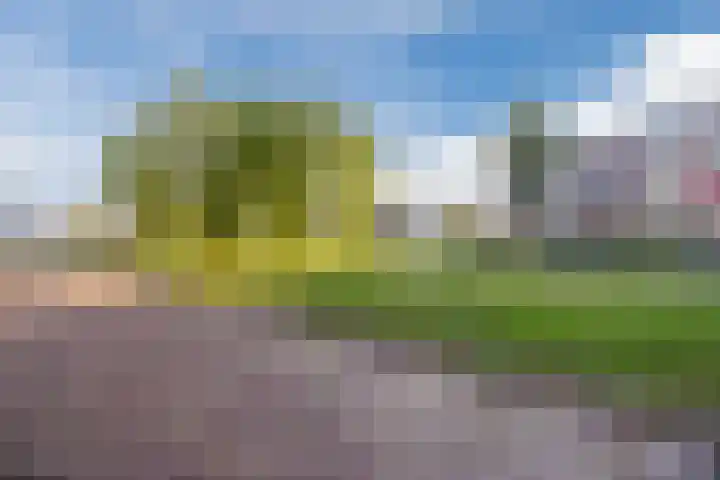 Marga Klompélaan 123 Rijen thumbnail 52