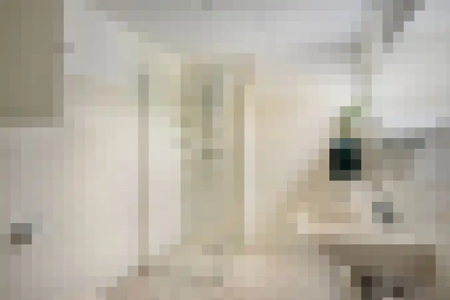 Marga Klompélaan 144 Zutphen thumbnail 19