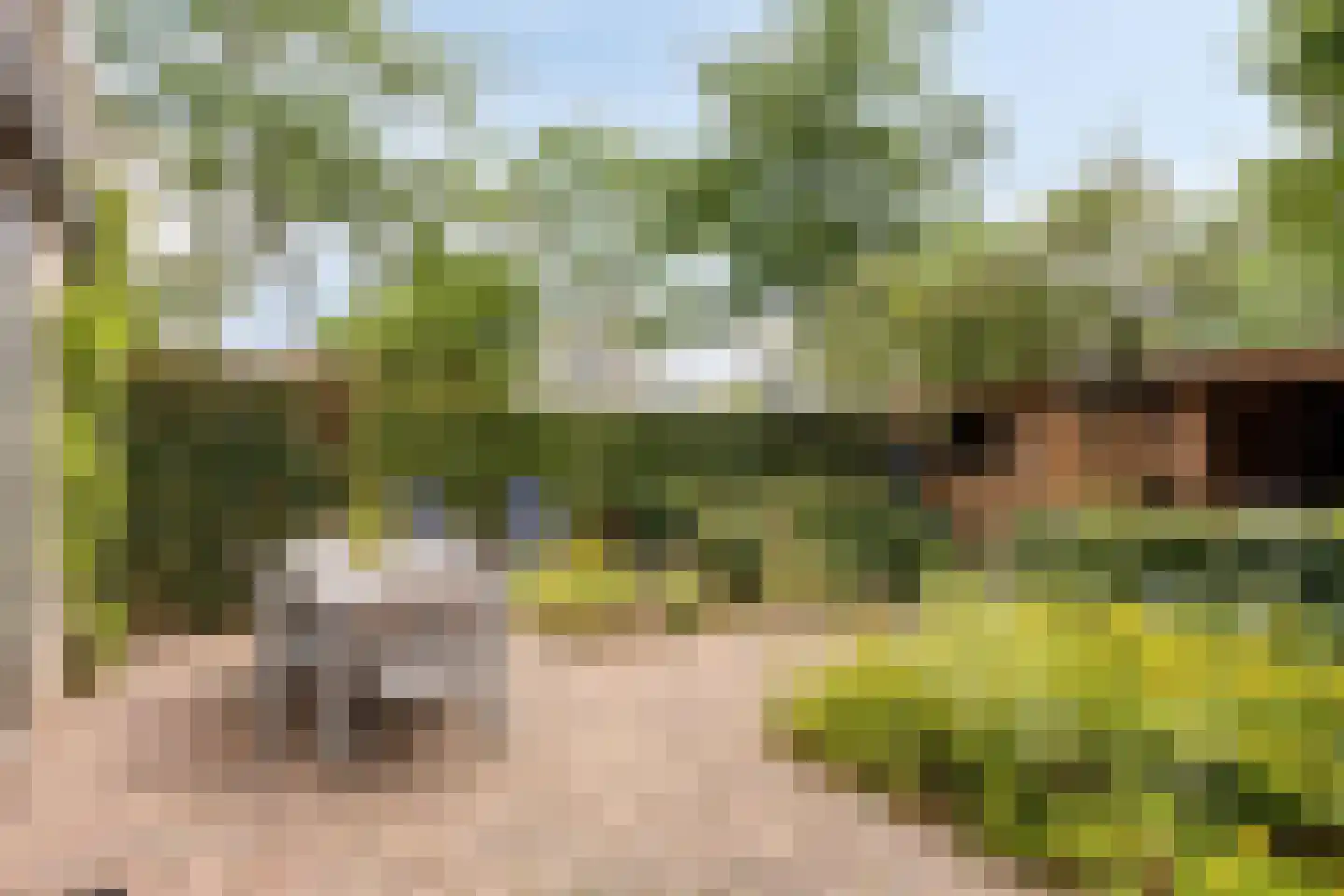 Marga Klompélaan 144 Zutphen foto 2