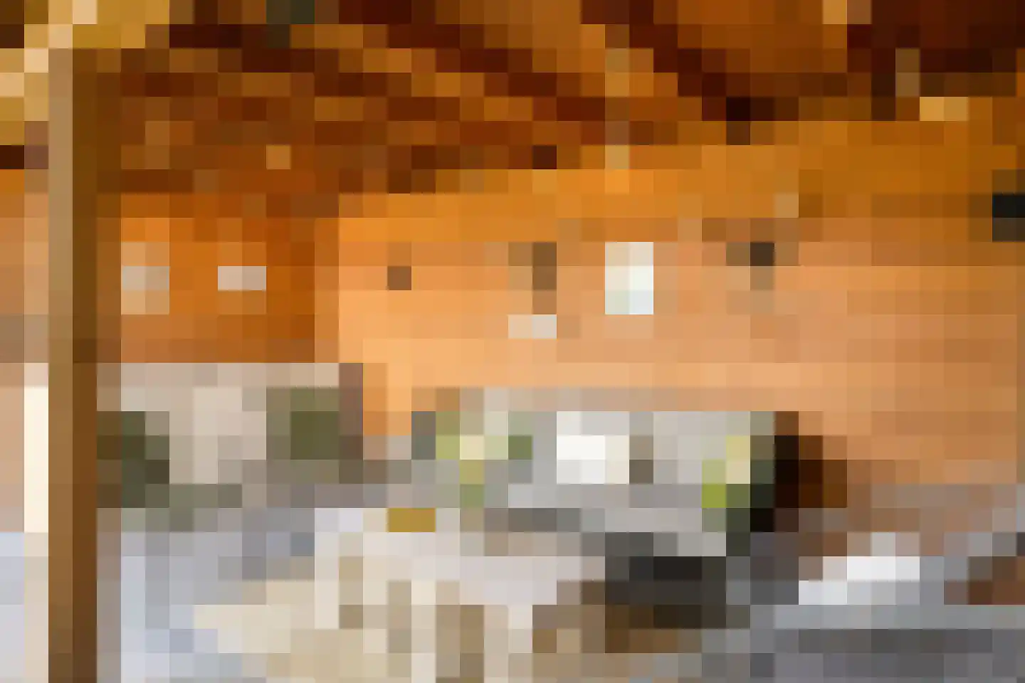 Marga Klompélaan 144 Zutphen foto 3