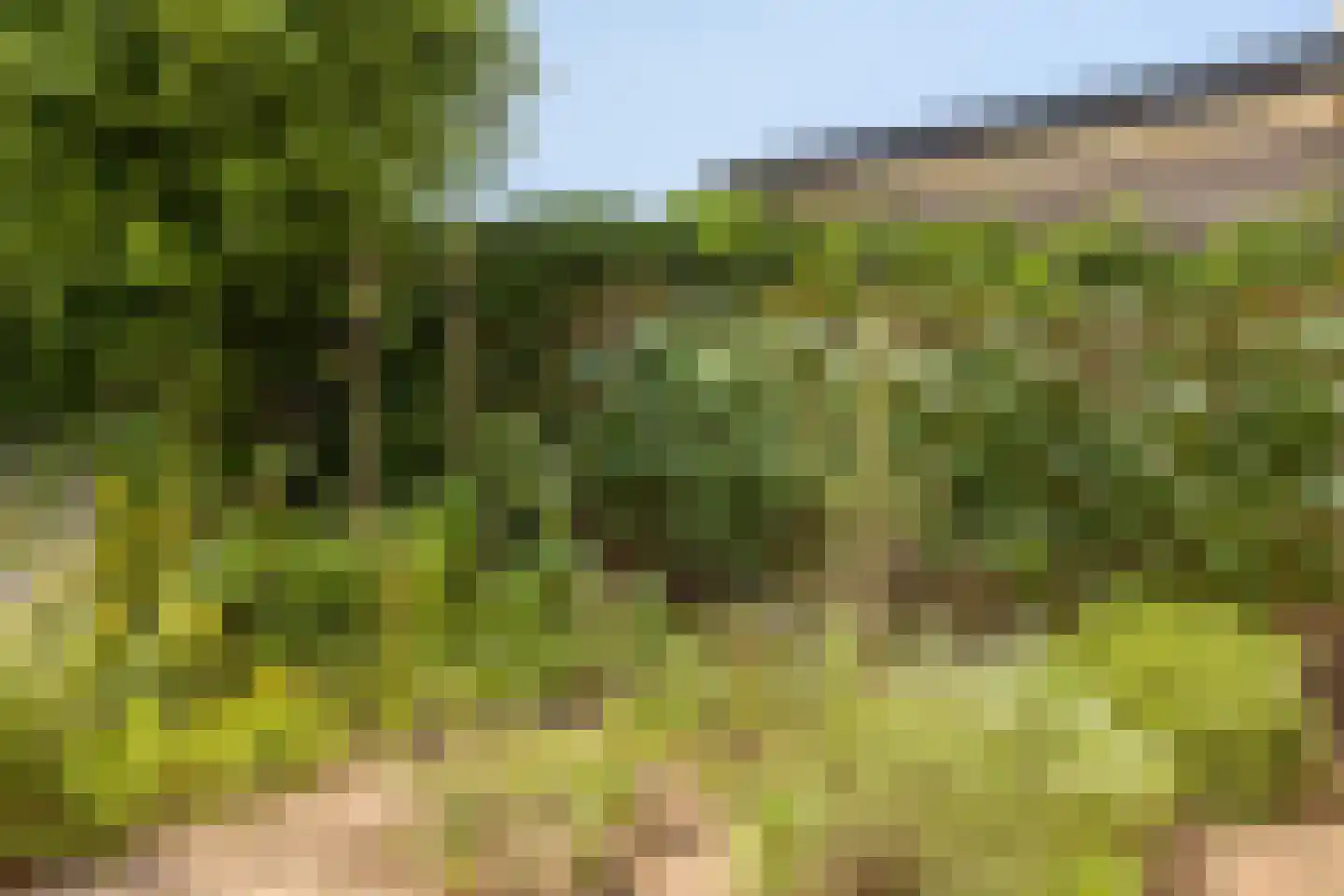 Marga Klompélaan 144 Zutphen thumbnail 46
