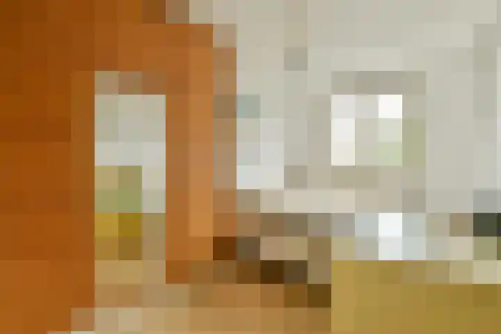 Marga Klompélaan 16 Amsterdam thumbnail 16
