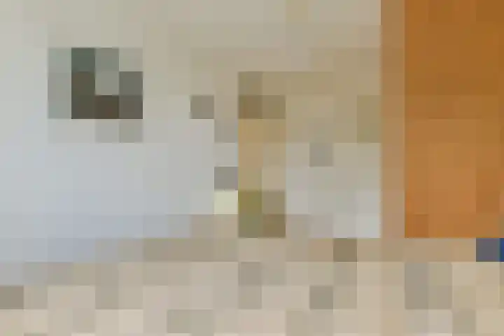 Marga Klompélaan 16 Amsterdam thumbnail 17