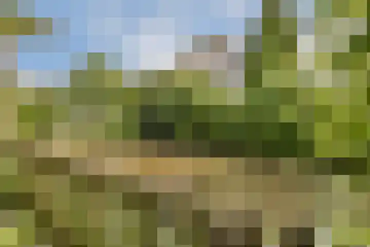 Marga Klompélaan 16 Amsterdam thumbnail 8