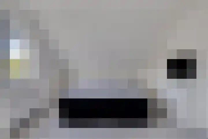 Marga Klompelaan 16 Vlissingen thumbnail 20