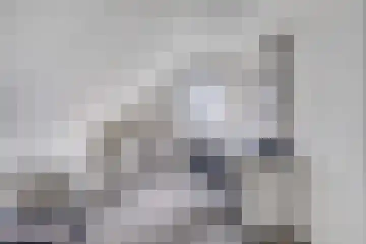 Marga Klompelaan 16 Vlissingen thumbnail 27