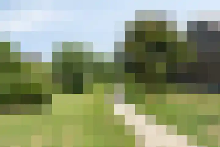 Marga Klompelaan 16 Vlissingen thumbnail 40
