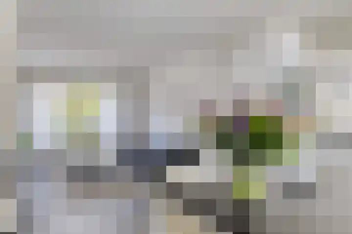 Marga Klompelaan 16 Vlissingen thumbnail 6