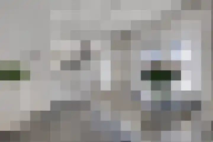Marga Klompelaan 16 Vlissingen thumbnail 7