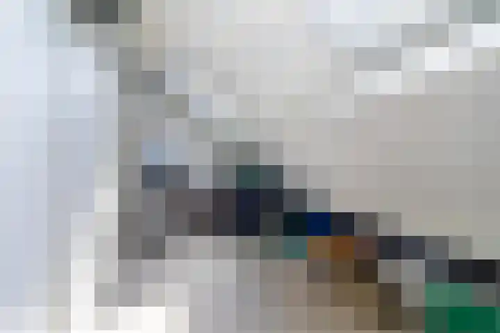 Marga Klompélaan 2 Pijnacker thumbnail 30