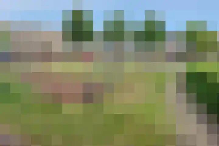 Marga Klompélaan 2 Pijnacker thumbnail 36