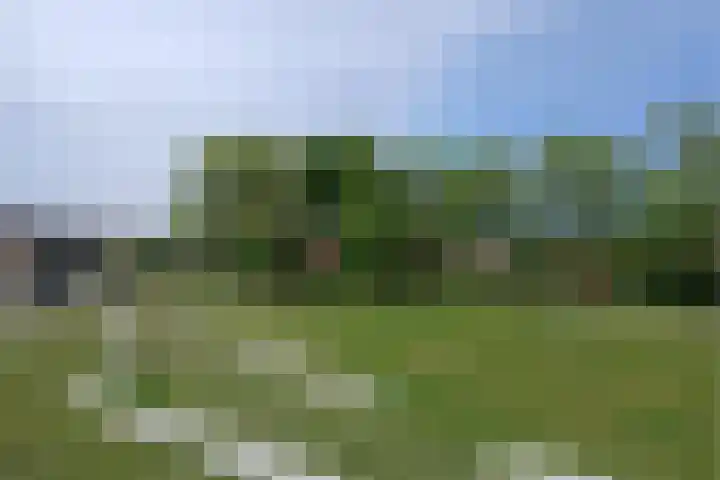 Marga Klompélaan 2 Pijnacker thumbnail 38