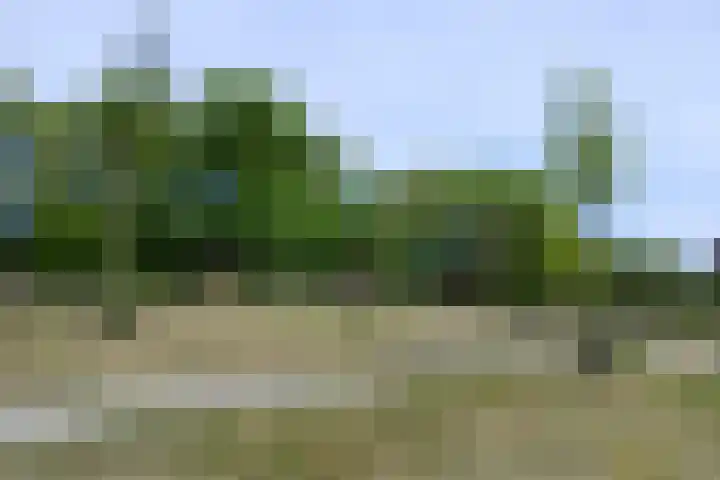 Marga Klompélaan 2 Pijnacker thumbnail 40