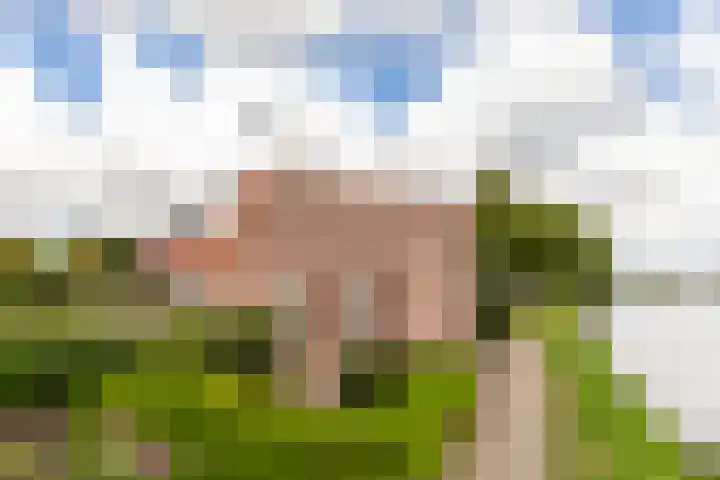 Marga Klompélaan 22 Heemstede thumbnail 27