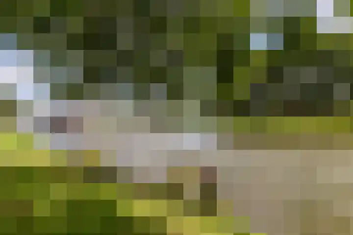 Marga Klompélaan 22 Heemstede thumbnail 30