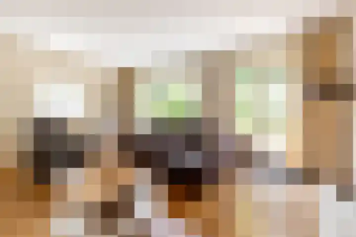 Marga Klompélaan 22 Heemstede thumbnail 8
